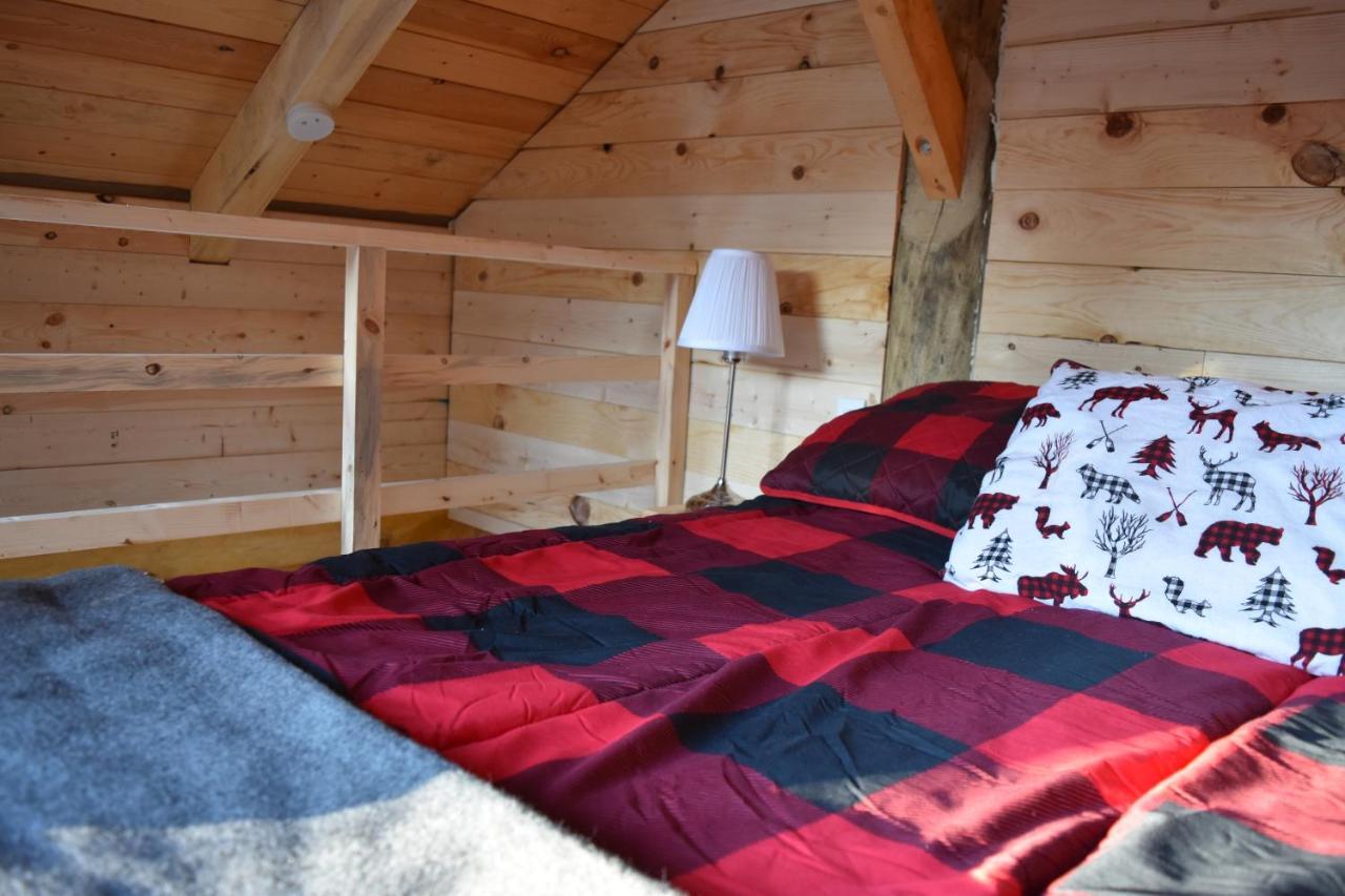 Campsite Bois Rond Experience